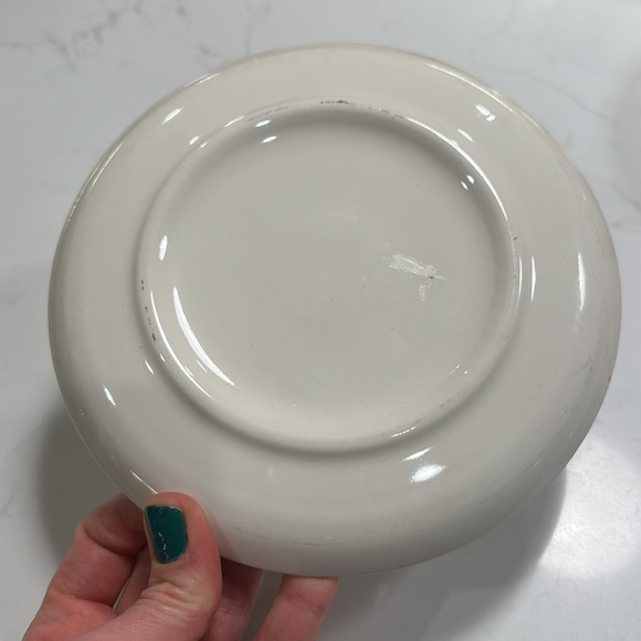 Vintage Minnesota Souvenir Plate - Picture 2 of 2